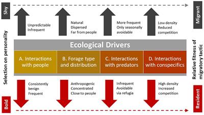 Influences of Personality on Ungulate Migration and Management